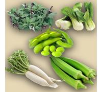 KIT SEMENTI GIAPPONESI | 5 Bustine di SEMI | Basilico Thai (basilico liquirizia) | Daikon (ravanello giapponese) | Edamame (fagiolo di soia) | Okra (clemson spineless) | Pak-Choi (cavolo cinese)
