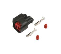 Kit Sensore Ford 2 Pin 25 Pezzi 37458