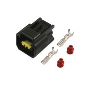 Kit Sensore Ford 2 Pin 25 Pezzi 37459