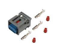 Kit Sensore Ford 3 Pin 28 Pezzi 37462