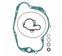 KIT SERIE GUARNIZIONI CARTER MOTORI MINARELLI AM6