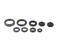 KIT SERIE PARAOLI COMPLETA MOTORE CENTAURO BETA RR 300 2013-2023