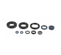 kit serie paraoli motore completi Athena Yamaha Yz 125 2005 - 2025 Fantic Xe 125