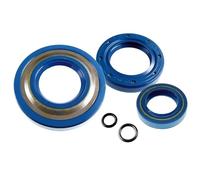 KIT Serie Paraoli Motore + OR per P i a g g i o - A p e FL2 - FL3 - Europa - Cross 50 (1994-1999) | Codice CIF 5697-FL2 | Ricambio Completo per TL5T e TL6T