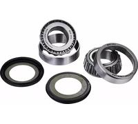 Factory Links Aprilia/bmw/gas Gas Ssk-g-015 Steering Bearing Kit Argento