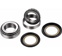 Factory Links Honda Cr 125 R 95-97/cr 250 R 95-96 Ssk-h-398 Steering Bearing Kit Argento