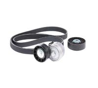 Set di cinghie Poly-V INA 529 0498 10