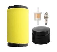 Kit Servizio Per for Modelli Motori LT19538 LTH2038 31Q677 33M677