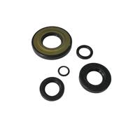 SERIE PARAOLI MOTORE Gilera 50 4V - Trial 50 ARIETE 09888