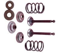 Kit set di guarnizioni for stelo con fermo a molla adatto for Honda GX25 HHT25S GX 25 Trimmer Decespugliatore Tiller Parte del motore(1 Set)