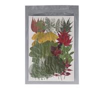 Kit sfuso fiori pressati 90 pezzi |Foglie secche autentiche per forme di fusione artistica / Scrapbooking / Artigianato fai-da-te |Veri fiori pressati per nail art, gioielli,