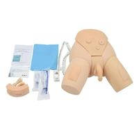 Kit simulatore di cateterismo uretrale Modello Medico Maschile e Femminile for la Formazione Infermieristica nella Pratica Medica