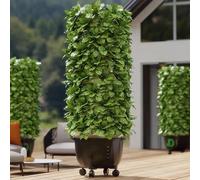 Kit sistema verticale Hydroculics Tower Garden System - Coltivazione di un grande serbatoio senza terreno per erbe, frutta e verdura, con pompa idratante, adattatore e vasi in rete