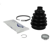 Kit soffietto, albero di trasmissione SASIC 1904021 LAGUNA II (BG0/1_) 2 2002-
