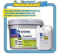 Kit Soluzione Antimuffa Fungisol 2,5 L e Pittura Fungimatt 12,5 L