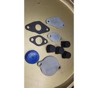 Kit Soppressione Vanne EGR E Radiatore BMW B57 G01 G02 G05 G06 G11 G12 G30