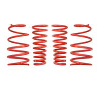 Kit sospensioni, molle EIBACH E20-10-001-02-22