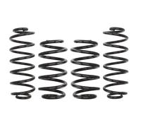 Kit molle sospensione con perizia E10-15-018-08-22 EIBACH per AUDI A6 C7