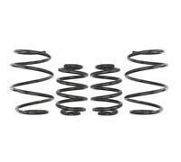 Kit sospensioni, molle EIBACH Pro-Kit E10-20-001-09-22