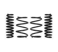Kit sospensioni, molle EIBACH Pro-Kit E10-20-031-17-22