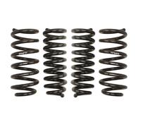 Kit sospensioni, molle EIBACH Pro-Kit E10-25-036-02-22