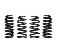 Kit sospensioni, molle EIBACH Pro-Kit E10-25-036-05-22