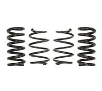 Kit sospensioni, molle EIBACH Pro-Kit E10-35-029-01-22