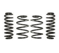 Molle Sportive Pro-Kit 30-35/30-35mm EIBACH Per SEAT TARRACO