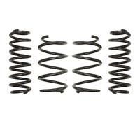 Kit sospensioni, molle EIBACH Pro-Kit E10-85-041-01-22