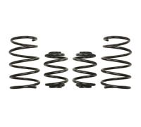 Molle Set Veicoli EIBACH per BMW Z3 Roadster (E36)
