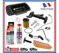 Kit Sostituzione Per Motorizzazione 1.6 HDI TDCI 110 Filtri Filtro Detergente