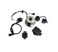 Kit statore e rotore Magnete per centralina CDI per Moto con accensione CDI per Motore Lifan 150cc, Accessori per Moto, Bobina di accensione CDI per Moto.