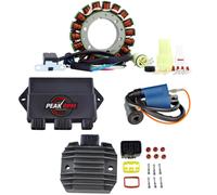 Kit Statore Ho + Regolatore + CDI Scatola + Accensione Bobina Per Yamaha Yxm 660