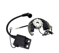 Kit Statore+Rotore+Accensione Bobina per KTM 50 SX Mini 50 PRO JUNIOR