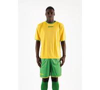ZEUS KIT STICKER GIALLO-VERDE L