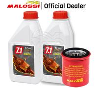 KIT TAGLIANDO 2 LT OLIO MALOSSI SPORT 10W40 PIAGGIO BEVERLY 125 200 250 300 CON