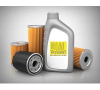 KIT Tagliando 4 Filtri Compatibile per PEUGEOT 207 SW 1.6 HDI 16V FAP DV6ATED4 FAP - 66 KW / 90 HP dal 07/07 in poi + Omaggio