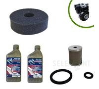 KIT TAGLIANDO COMPLETO MOTORE LOMBARDINI 6LD325-360-400-LDA530 MOTOZAPPA