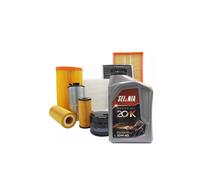 Kit Tagliando Fiat Grande Punto/Evo 1.2 + Lt.4 Selenia 20k 10w40