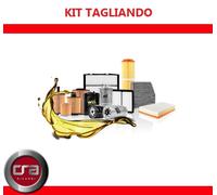KIT TAGLIANDO FIAT GRANDE PUNTO - PUNTO EVO 1.2 + 3LT OLIO 10W40