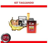 KIT TAGLIANDO FIAT GRANDE PUNTO - PUNTO EVO 1.2 + 3LT OLIO SELENIA 20K 10W40
