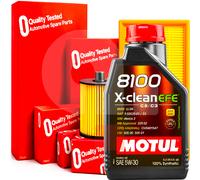 Kit Tagliando Ford C-Max Focus MK2 1.6 1.8 2.0 3 Filtri + 5Lt Olio Motul 5w30
