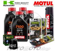 KIT TAGLIANDO HONDA HORNET 600 2001 2002 OLIO 7100 FILTRO PASTIGLIE GRASSO