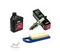 Kit tagliando manutenzione trattorino con motore Briggs&Stratton da 12.5 HP