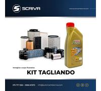 KIT TAGLIANDO OLIO+ 3 FILTRI SEAT IBIZA IV 1.2 12V dal 02