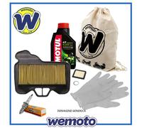 MOTUL 104066 Olio motore