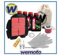 Kit Tagliando Olio Motul 5100 per Moto Yamaha TDM 900 2002-2013