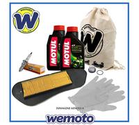 MOTUL 104066 Olio motore