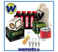 Motul Olio Motore 10W40