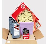 KIT Tagliando Specifico per Panda III (312/319) 1.0 FireFly Mild Hybrid 51KW 69HP 46341162 01/20 -> (KIT3LTREAB)
